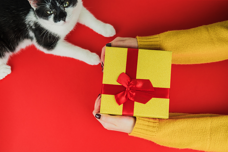 Is It a Good Idea to Give Pets As Gifts? - Midlands Pet Care Pet Crematory  and Cemetery