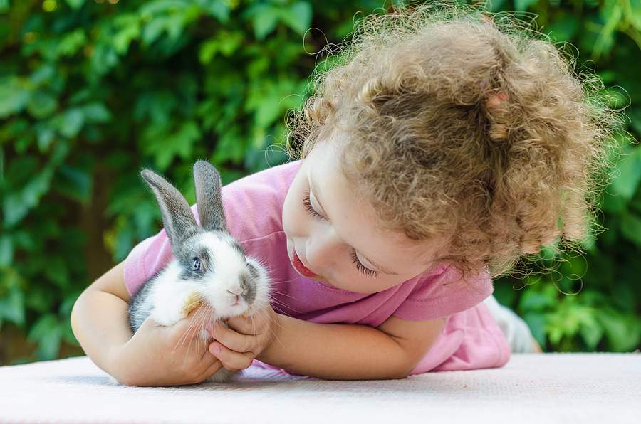 young girl with pet rabbit