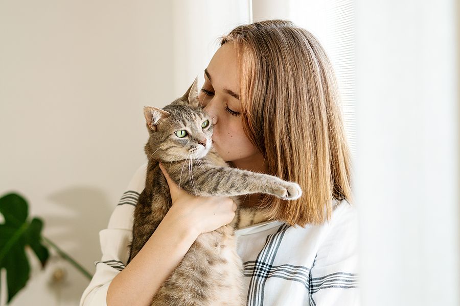 Cats sense final days behavior signs