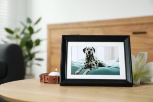 A framed photo of a Dalmatian with a candle and pet collar as a memorial tribute.