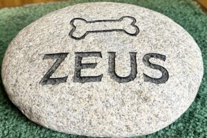 Engraved pet memorial stone with a dog bone symbol and the name Zeus