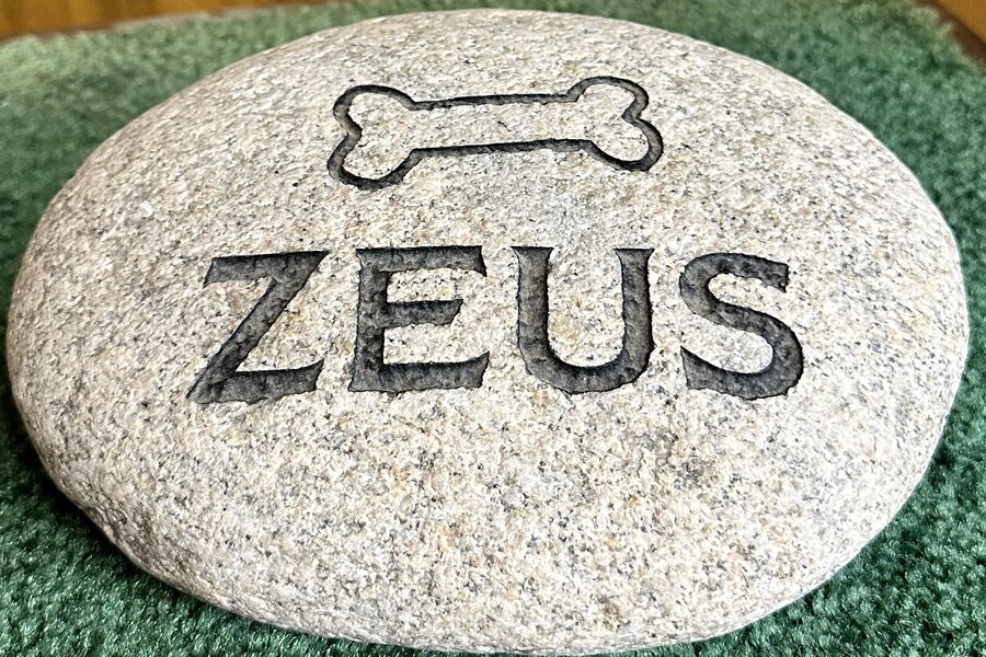 Engraved pet memorial stone with a dog bone symbol and the name Zeus