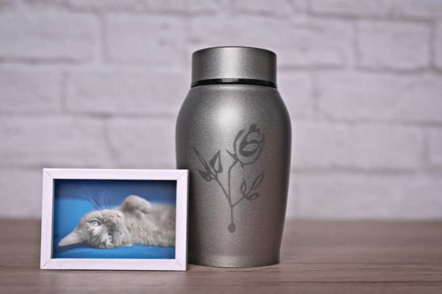 burying pet ashes